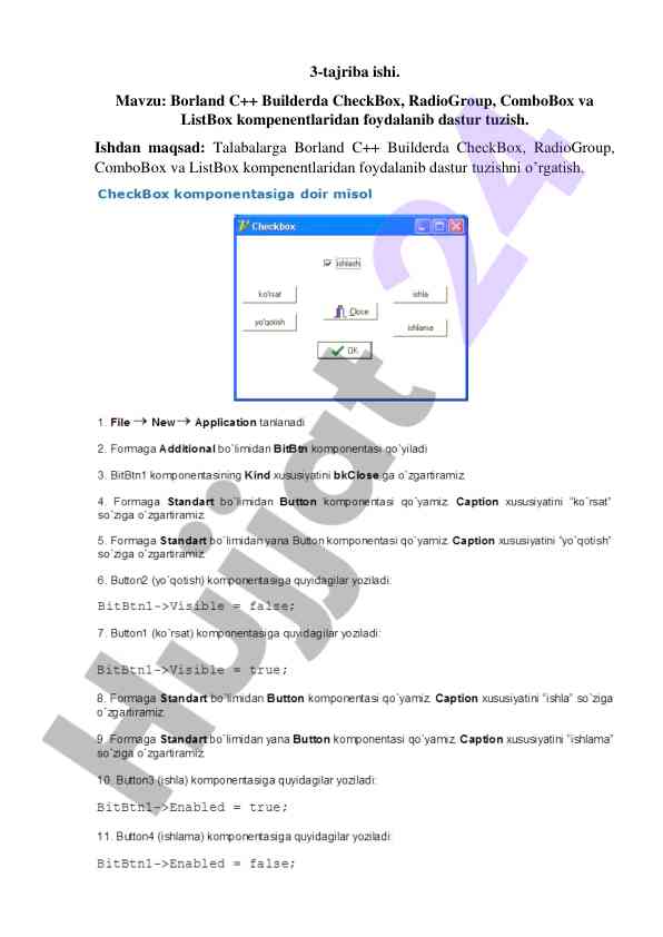 Borland c++ builderda dastur tuzish bo'yicha tajriba