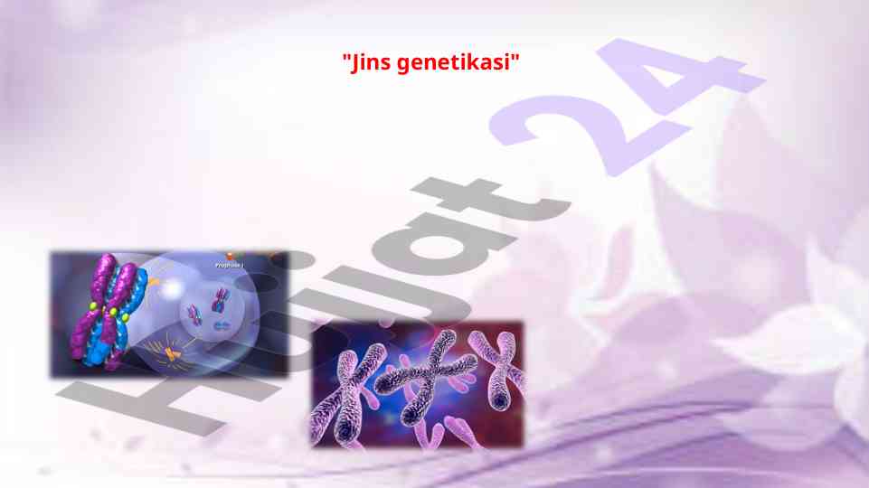 Jins genetikasi va xromosoma tahlili
