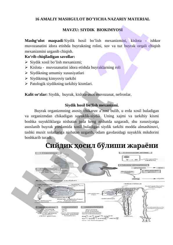 Siydik biokimyosi va mexanizmlari uralish
