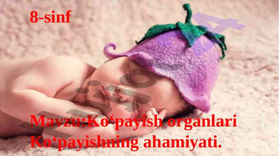 Ko‘payish organlari va ularning ahamiyati