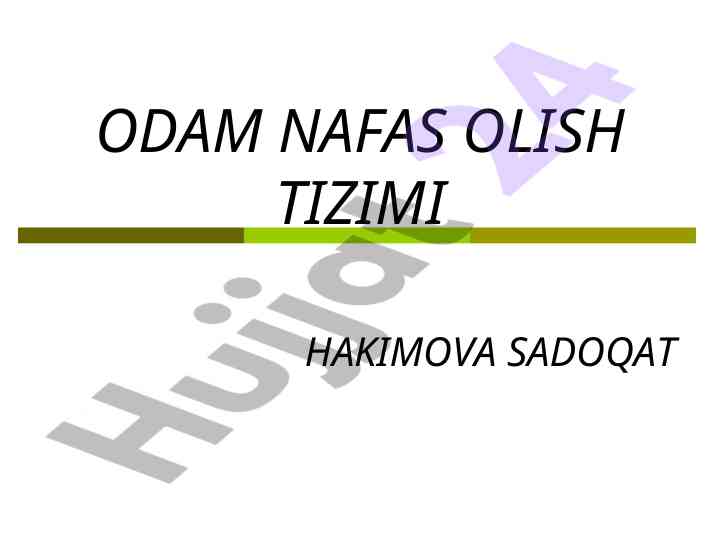 Odam nafas olish tizimi va uning qismlari