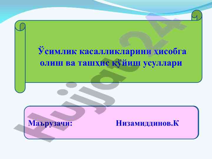 Ўсимлик касалликларини ҳисобга олиш усуллари