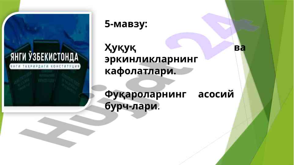 Ҳуқуқ ва эркинликларнинг кафолатлари ўзбек тизими