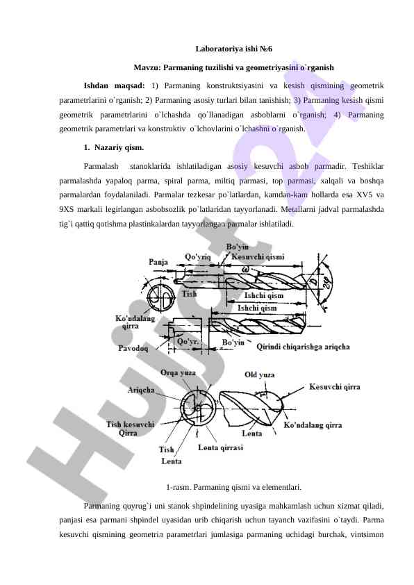 Parmaning Tuzilishi Va Geometriyasini O‘rganish