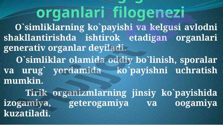 O`simliklar generativ organlari filogenezi