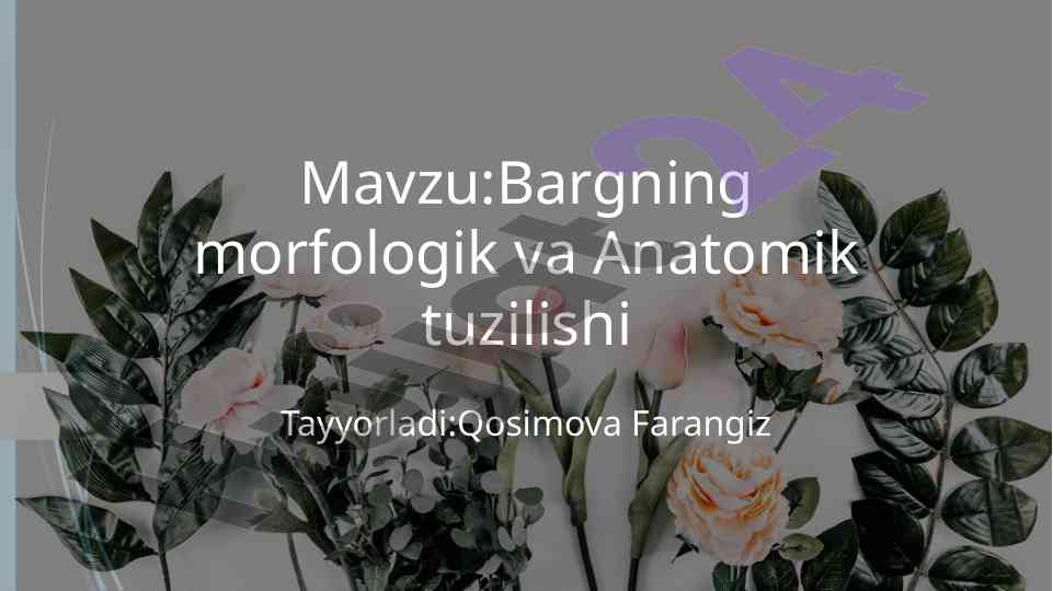 Bargning morfologik va anatomik tuzilishi