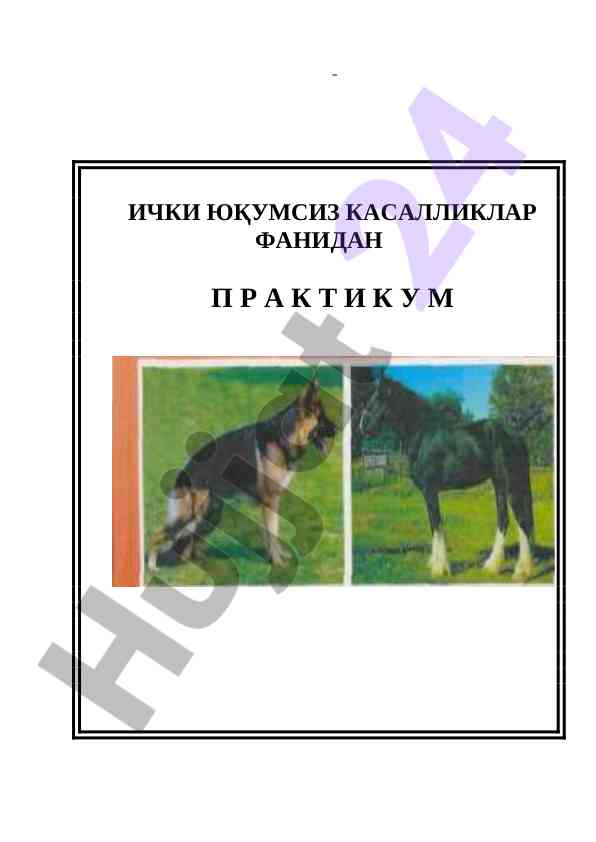 Ichki yuqumsiz kasalliklar fani bo‘yicha qo‘llanma