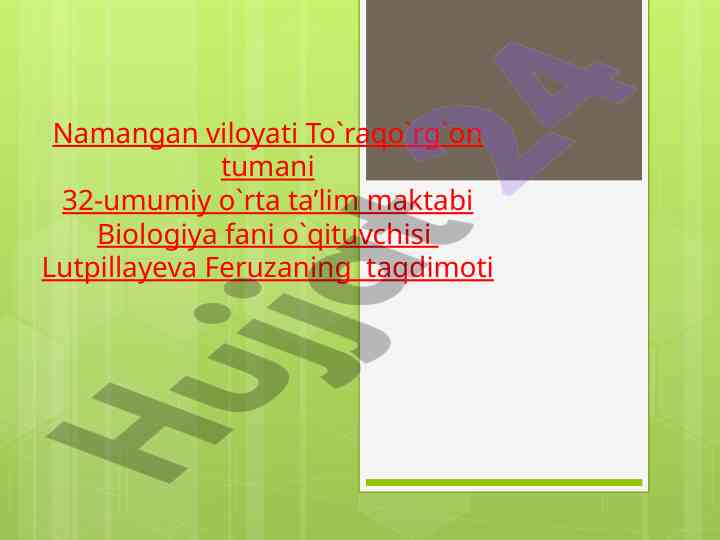 Dengiz sutimizuvchilari kurakoyoqlilar va kitsimonlar