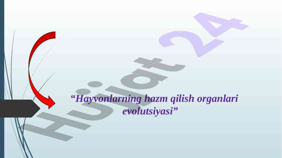 Hayvonlarning hazm qilish organlari evolutsiyasi