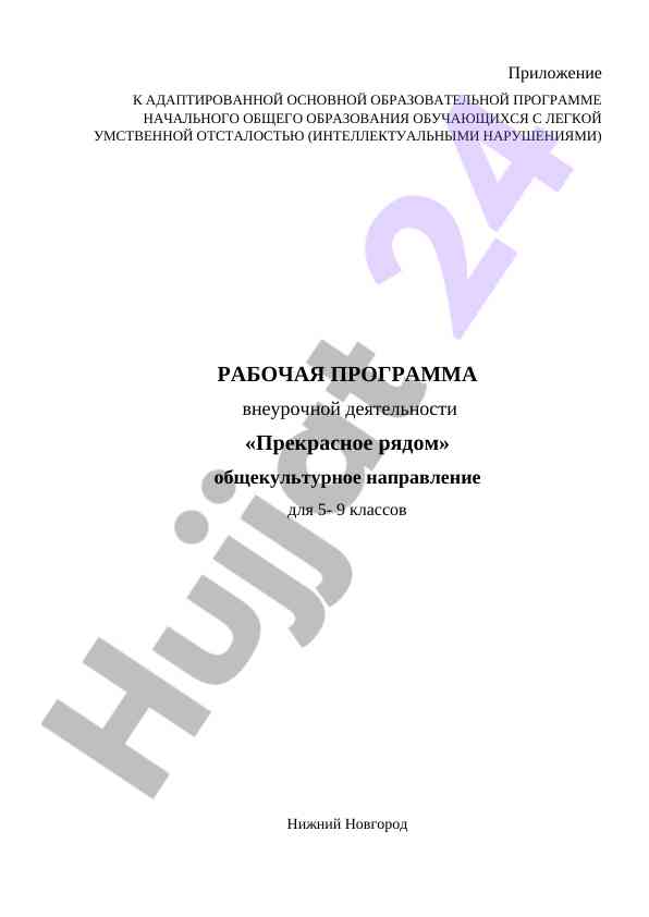 Рабочая программа внеурочной деятельности 5-9 классов
