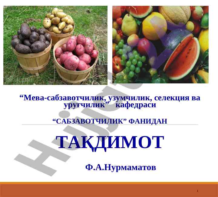 Kartoshka ahamiyati va tekhnologiyasi