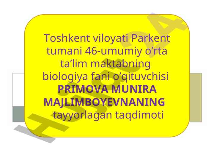 Vitaminlar va ularning ahamiyati taqdimoti