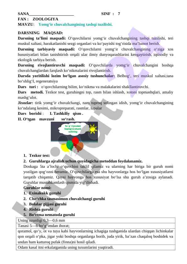 Yomg‘ir chuvalchangining tashqi tuzilishi