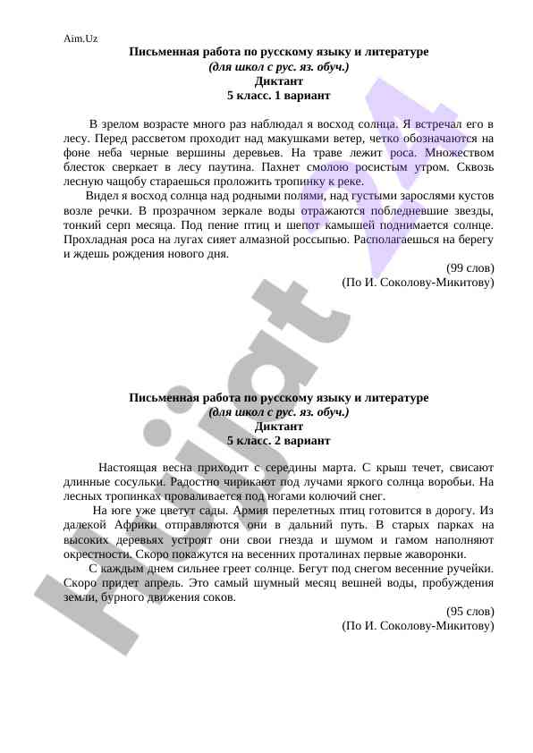 Письменная работа по русскому языку и литературе