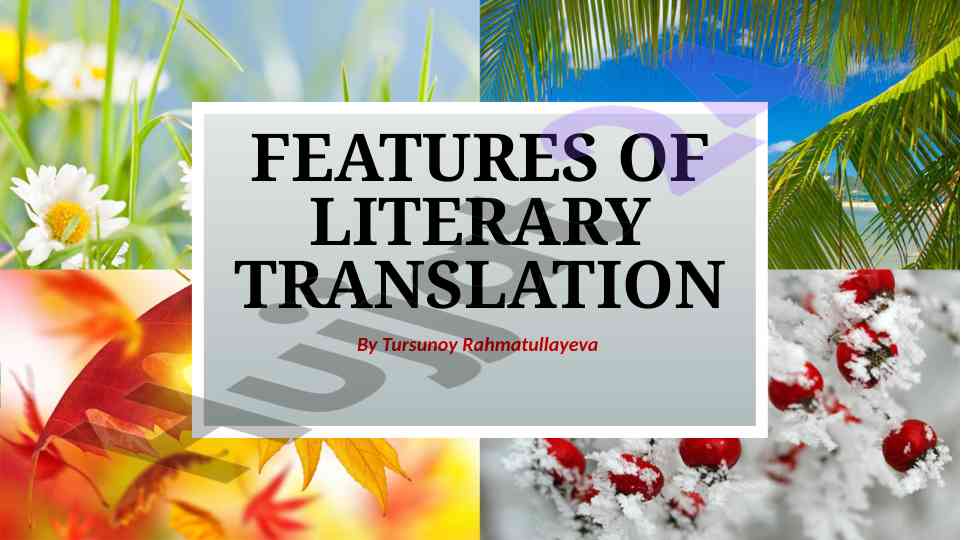 Features of literary translation techniques explored