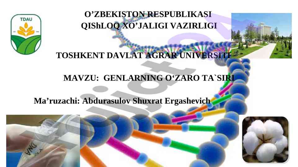 Genlarning o'zaro ta'siri: o'rganish va tahlil