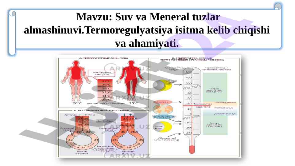 Suv va meneral tuzlar almashinuvi ahamiyati