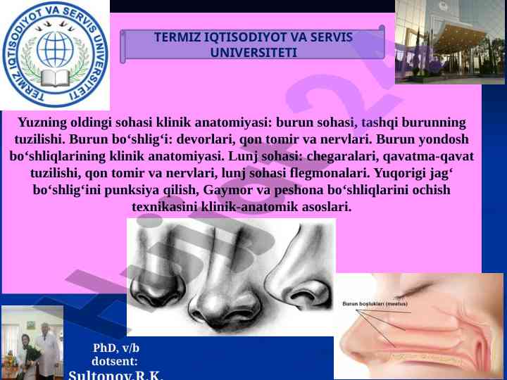 Burun sohasi klinikal anatomiyasi va topografiyasi