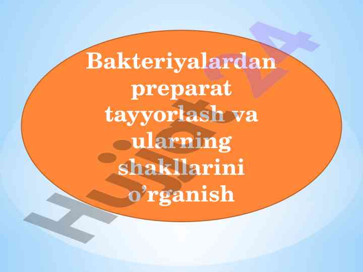 Bakteriyalardan preparat tayyorlash va shakllarini o'rganish