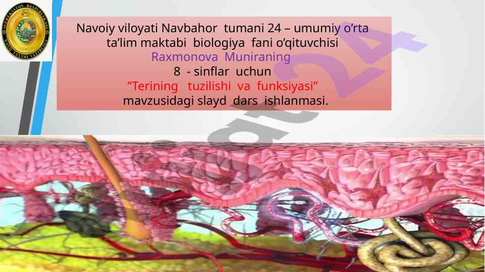 Terining tuzilishi va funksiyasi mavzusidagi slayd dars