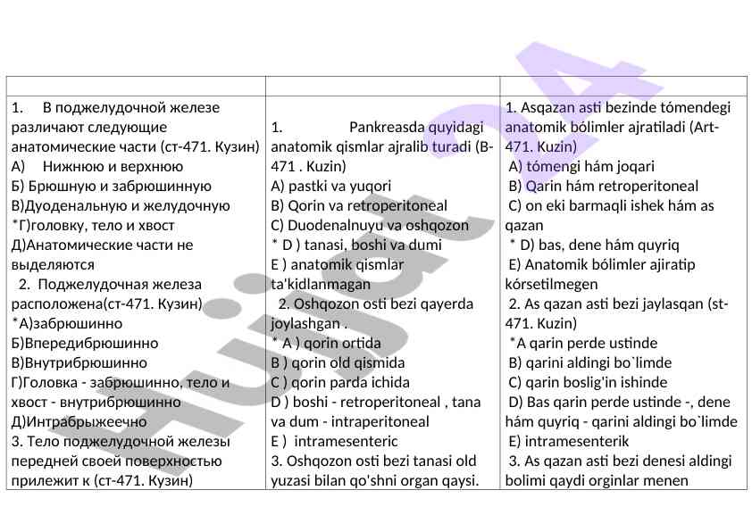 Asqazan astit bezi anatomik qismlari va joylashuvi