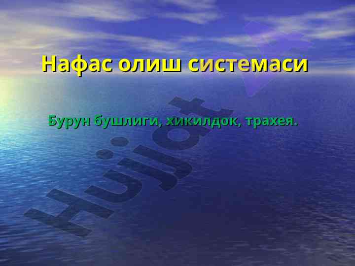 Nafas olish tizimi va uning tuzilishi