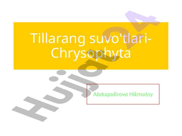 Tillarang suvo'tlari chrysophyta haqida ma'lumot
