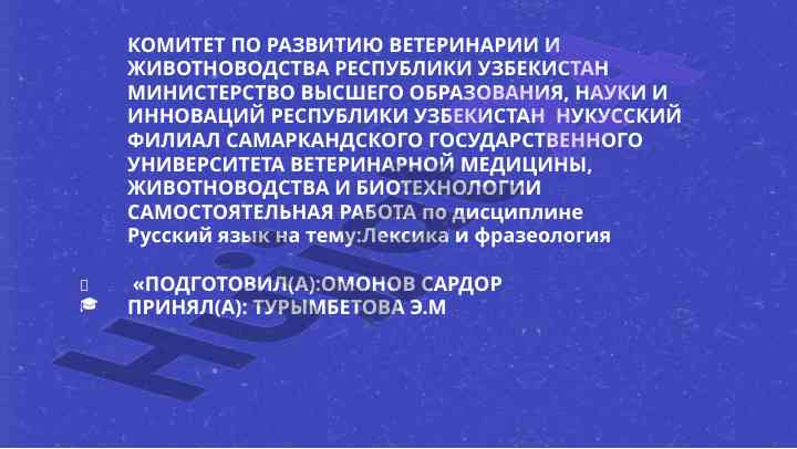 Lexika va frazeologiya o‘rganish bo‘yicha mustaqil ish