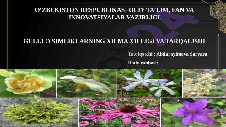Gulli o'simliklarning xilma xilligi va tarqalishi