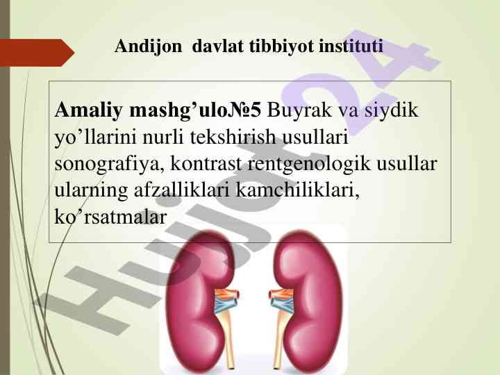 Buyrak va siydik yo'llarini nurli tekshirish usullari