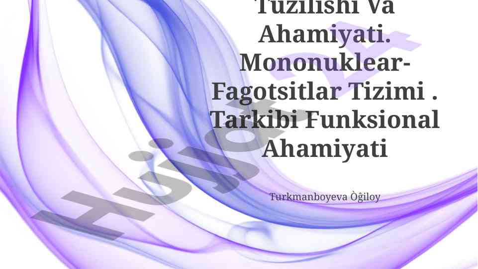 Mezenximaning tuzilishi va ahamiyati