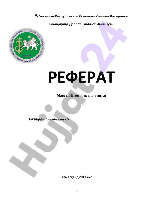 Йўғон ичак анатомияси хусусиятлари