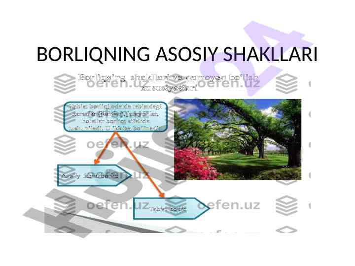 Borliqning asosiy shakllari mavzusida kurs ishlari
