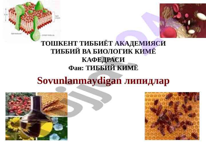 Липидлар тузилиши ва классификацияси