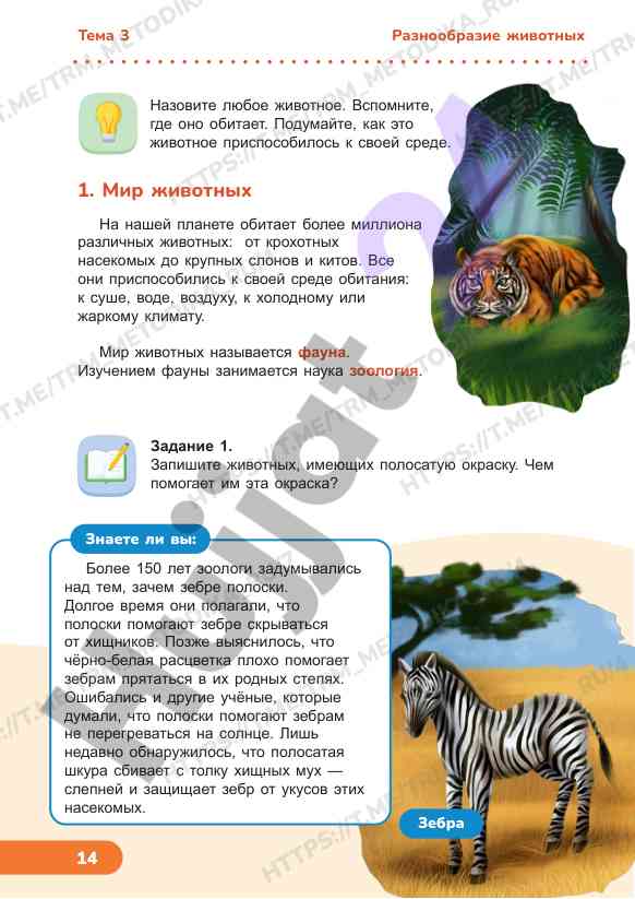 Разнообразие животных и адаптация к среде