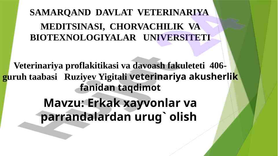 Erkak hayvonlardan urug‘ olish jarayoni taqdimoti