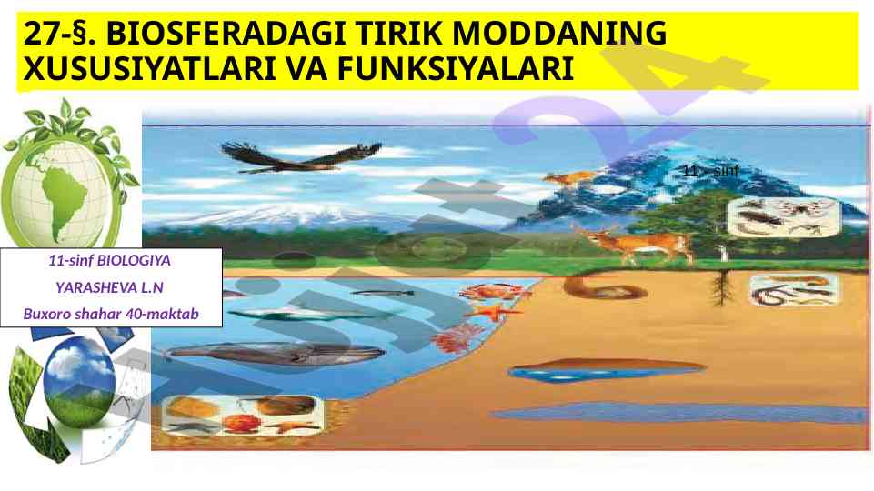 Biosferadagi tirik moddaning xususiyatlari va funksiyalari