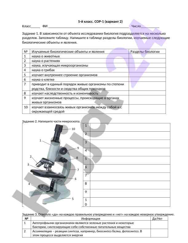 Biologiya obyektlari va mikroskop qismlari testi