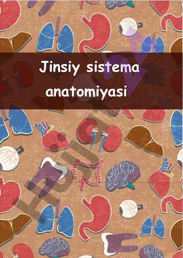 Erkaklar jinsiy sistema anatomiyasi tahlili