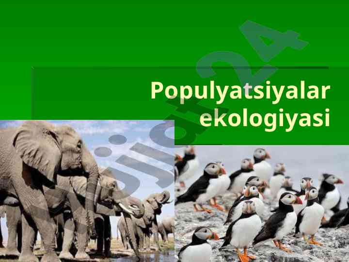Populyatsiyalar ekologiyasi va populyastiya tushunchasi