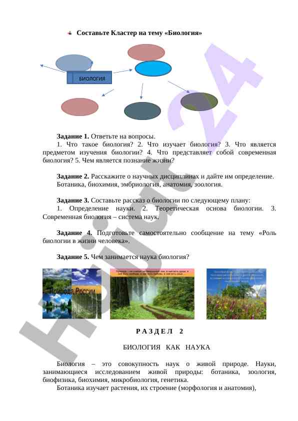 Biologiya mavzusida klaster tuzish