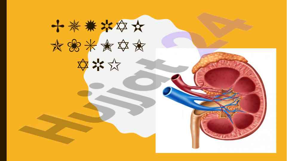 Buyrak o'smalari diagnostikasi va davolash