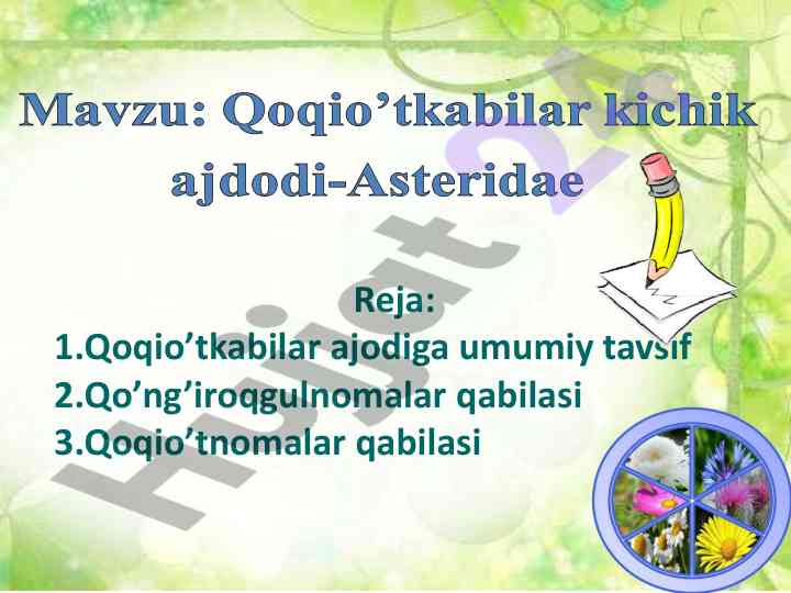 Qoqio’tkabilar va qo’ng’iroqgulnomalar tahlili