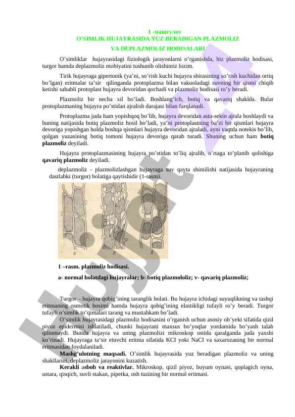O’simlik hujayrasida plazmoliz va deplazmoliz