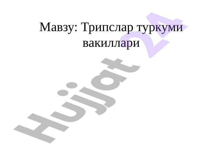 Трипслар туркуми хақида ҳамма маълумот