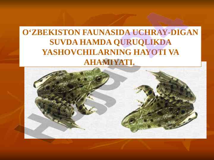 O'zbekiston faunasida suvda yashovchilarning ahamiyati