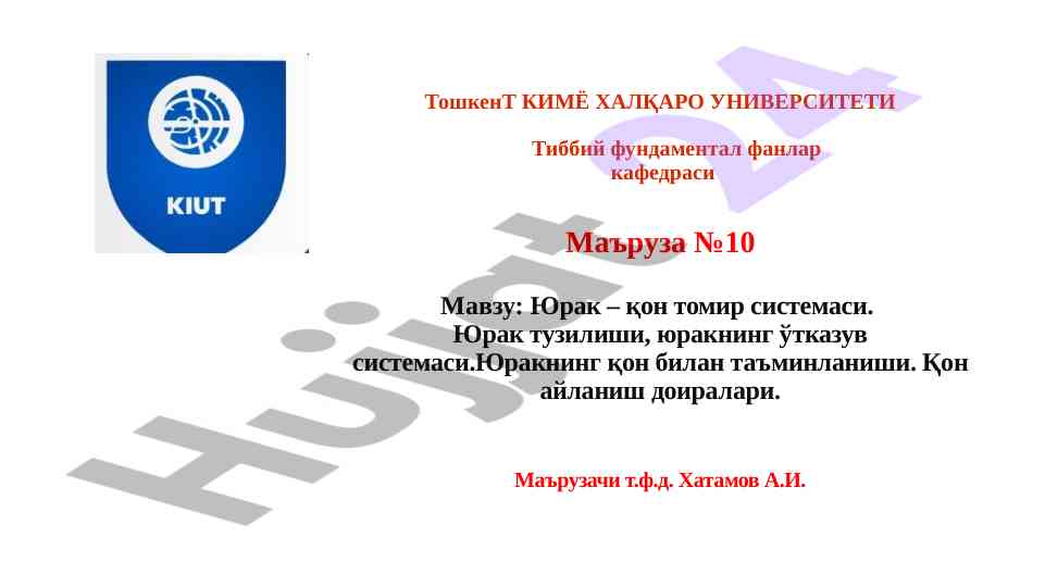Юрак – қон томир системаси тўғрисида маъруза