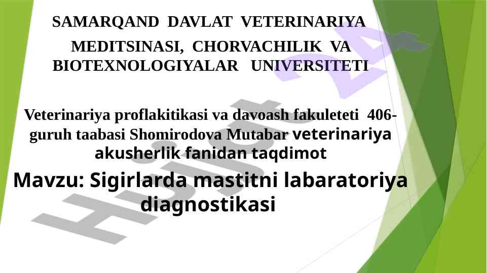 Sigirlarda mastitni laboratoriya diagnostikasi