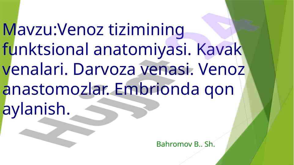Venoz tizimining funktsional anatomiyasi