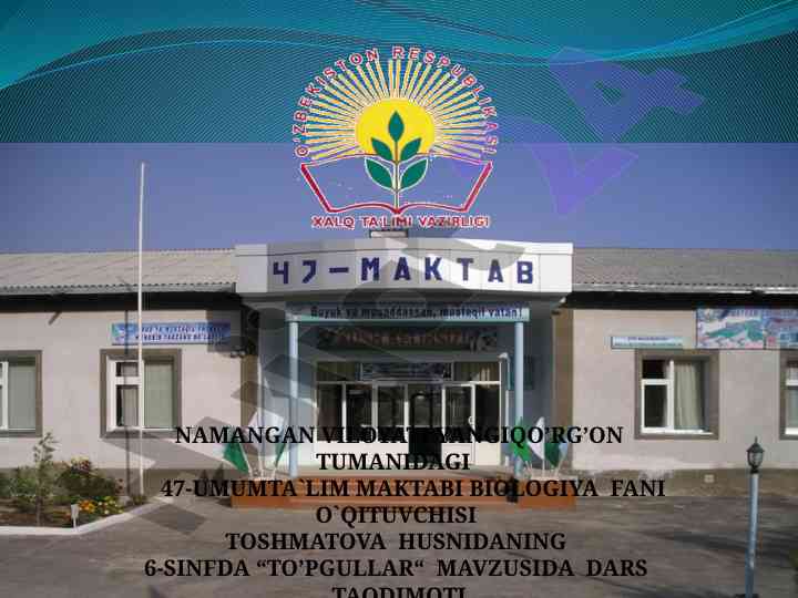 Biologiya dars taqdimoti to'pgullar mavzusi